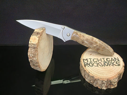 Petoskey Sone Kershaw Leek 1660 Pocket Knife #8