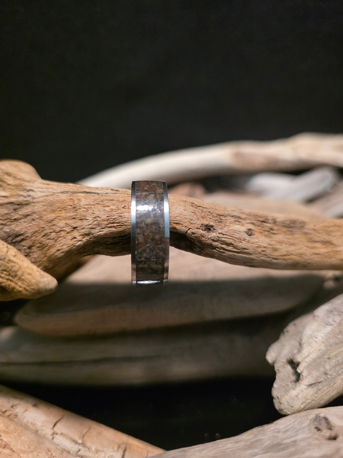 Utah Dinosaur Bone Titanium Channel Inlay Ring (Size 11.5) #241