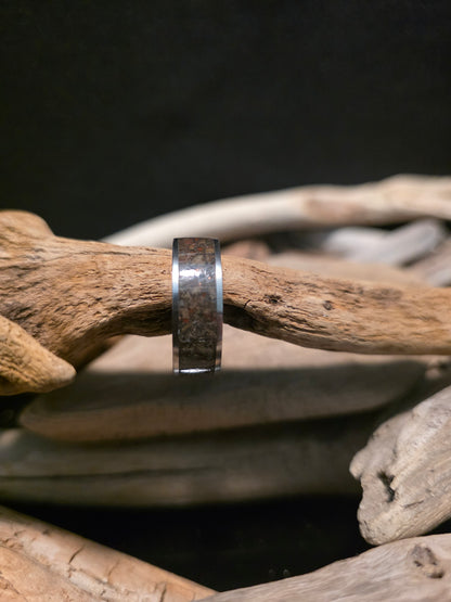 Utah Dinosaur Bone Titanium Channel Inlay Ring (Size 11.5) #241