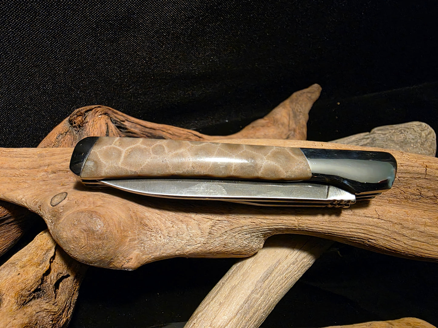 Petoskey Stone Kershaw Allegory 2 Blade Folding Pocket Knife (Model 4385) #168