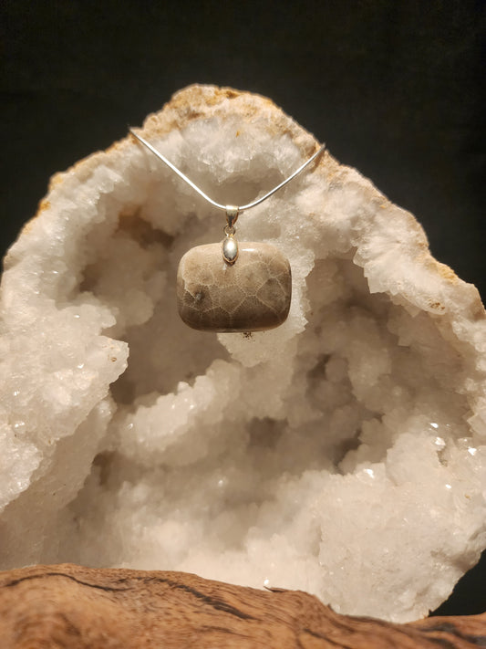 Petoskey Stone Pendant #45
