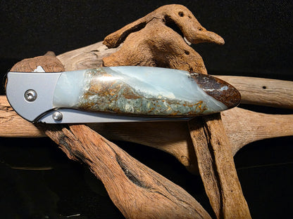 BC Ocean Picture Stone Kershaw Random Leek - Model 1660R #151