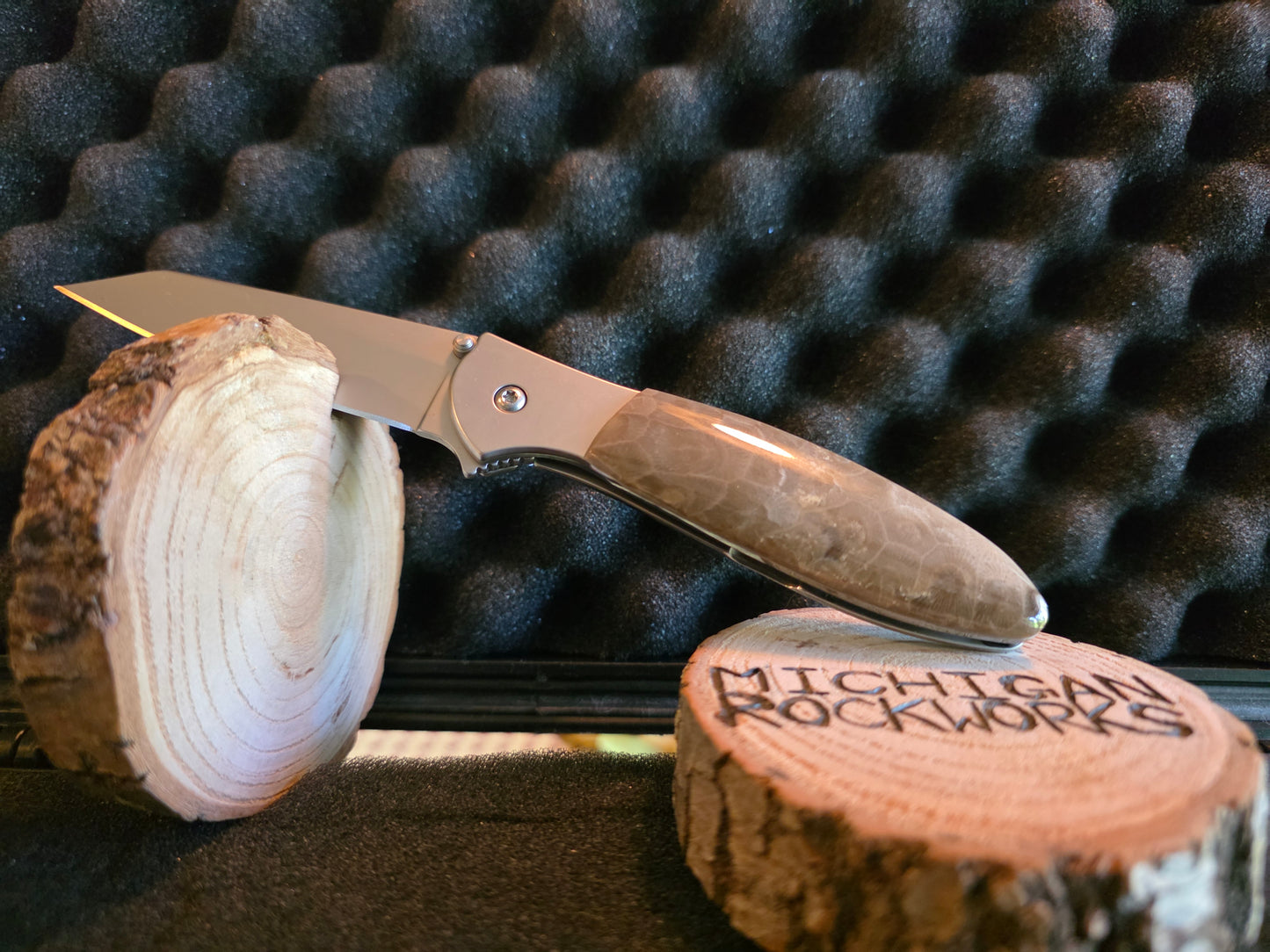 Petoskey Stone Kershaw Leek Folding Pocket Knife (Model 1660R) #222
