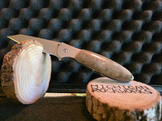 Petoskey Stone Kershaw Leek Folding Pocket Knife (Model 1660R) #222