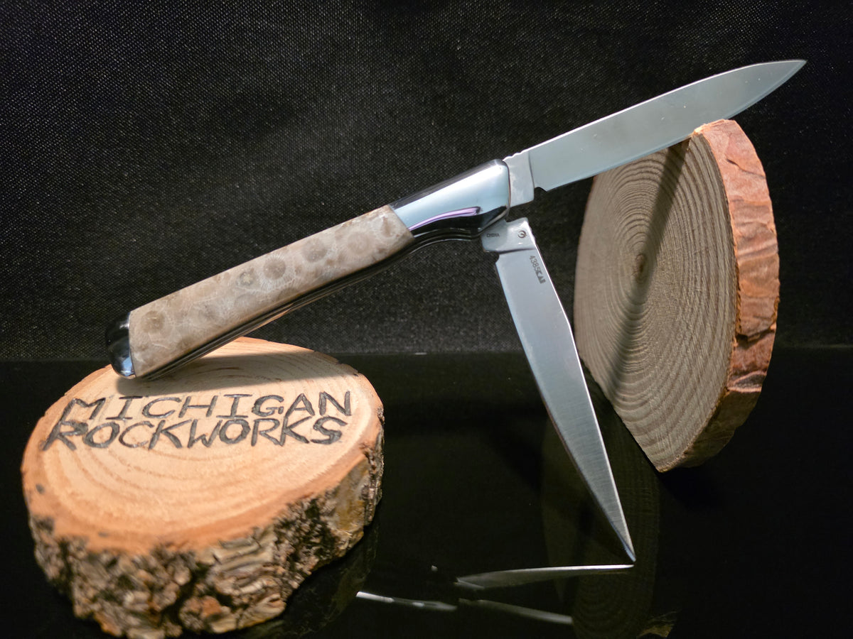 Petoskey Stone Kershaw Allegory Folding Pocket Knife (Model 4385) #249