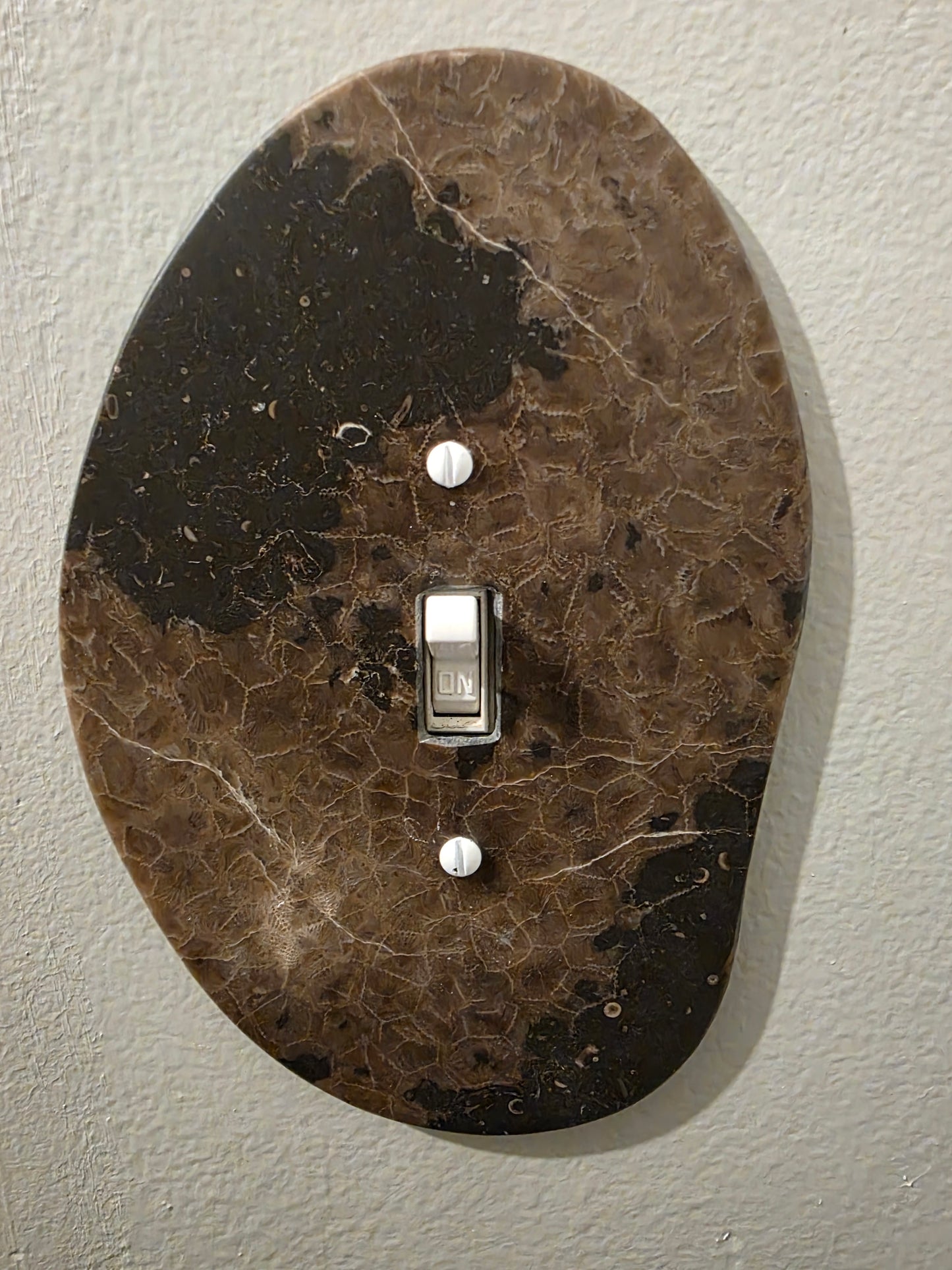 Petoskey Stone Switch Plate Cover #137