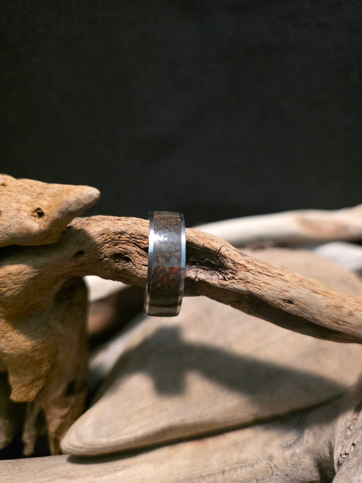 Utah Dinosaur Bone Titanium Channel Inlay Ring (Size 11.5) #241