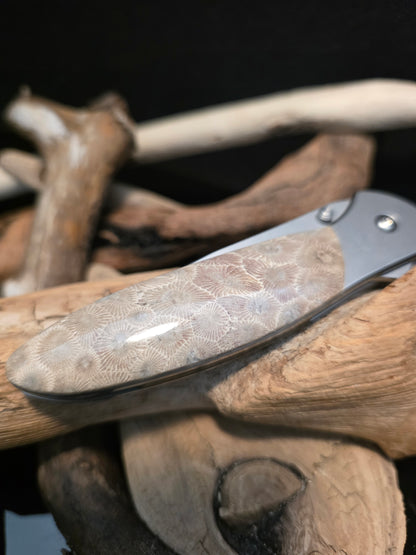 Petoskey Stone Kershaw Leek Folding Pocket Knife(Model 1660) #231