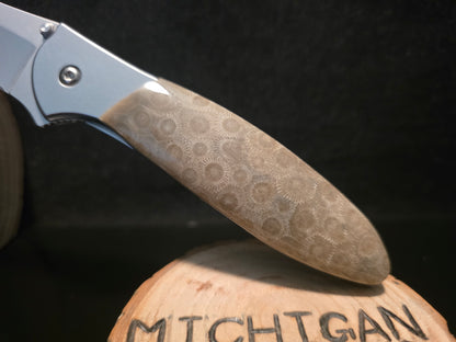 Petoskey Stone Kershaw Leek Folding Pocket Knife(Model 1660) #230