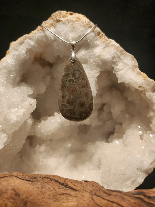 Petoskey Stone Pendant #47