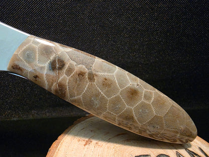 Petoskey Stone Kershaw Leek Random Pocket Knife (Model 1660R) #201