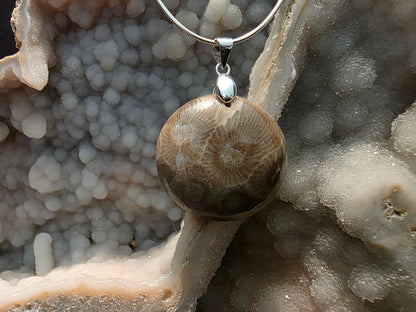 Petoskey Stone Pendant #191