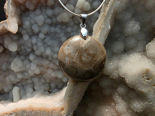 Petoskey Stone Pendant #191
