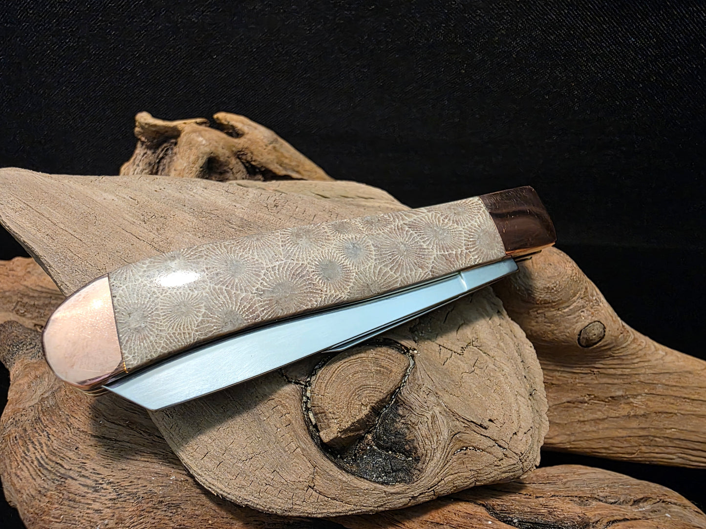 Petoskey Stone Kershaw Gadsden Folding Pocket Knife (Model 4381BJB) #202