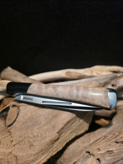 Petoskey Stone Kershaw Allegory Folding Pocket Knife (Model 4385) #238