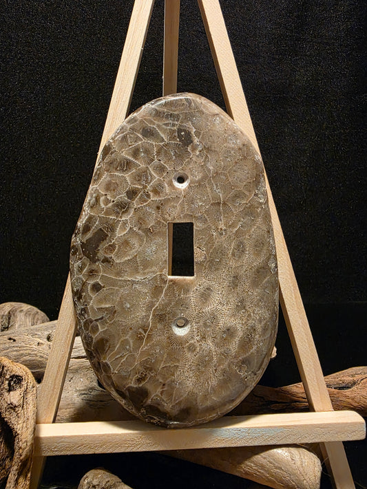 Petoskey Stone Switch Plate Cover #193