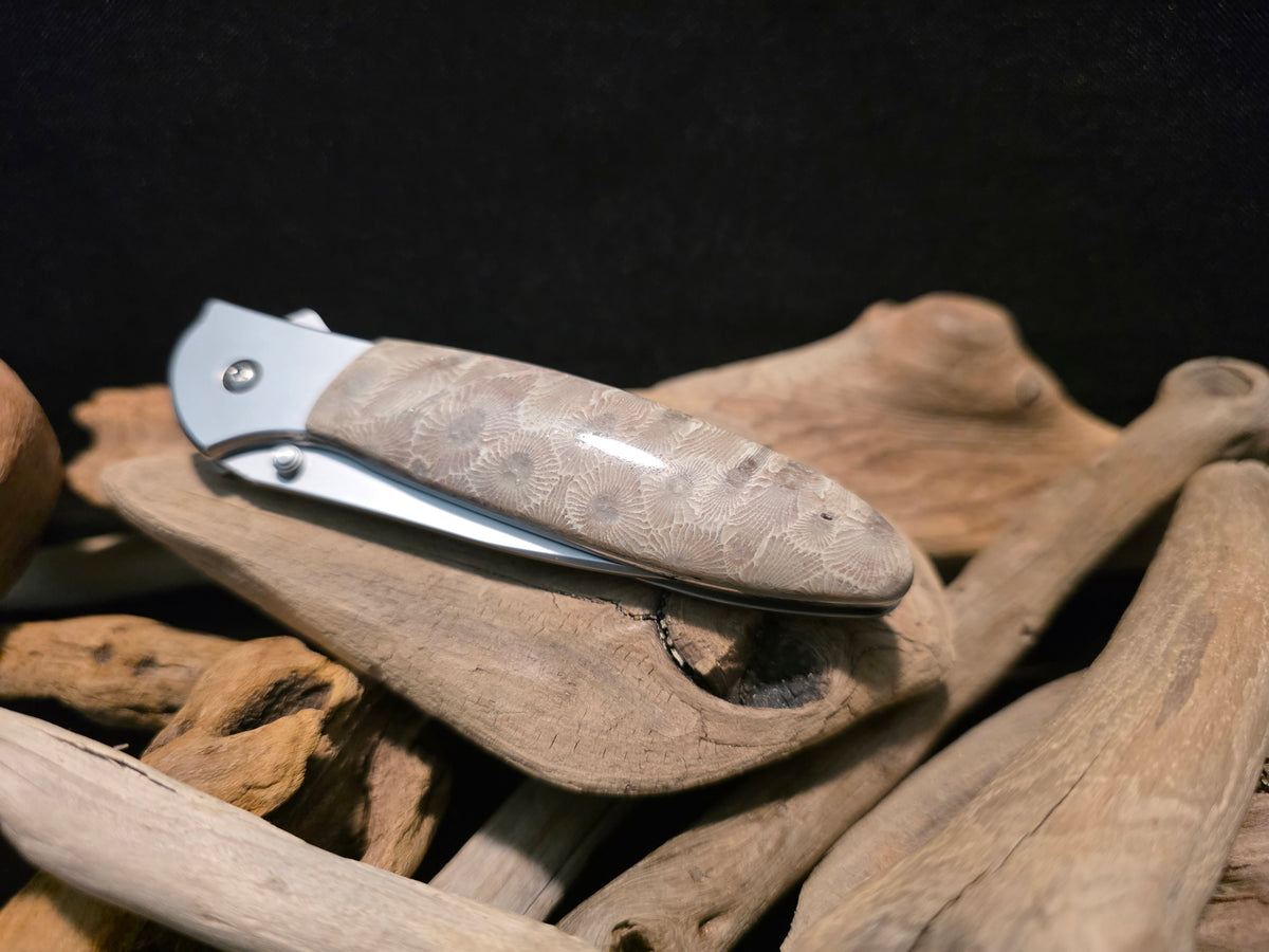 Petoskey Stone Kershaw Leek Folding Pocket Knife (Model 1660) #244