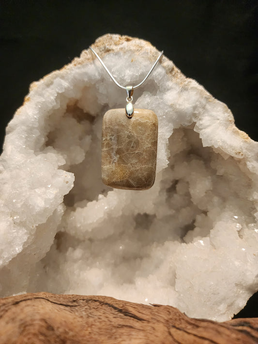 Petoskey Stone Pendant #48