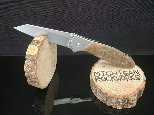 Petoskey Stone Kershaw Random 1660 #9
