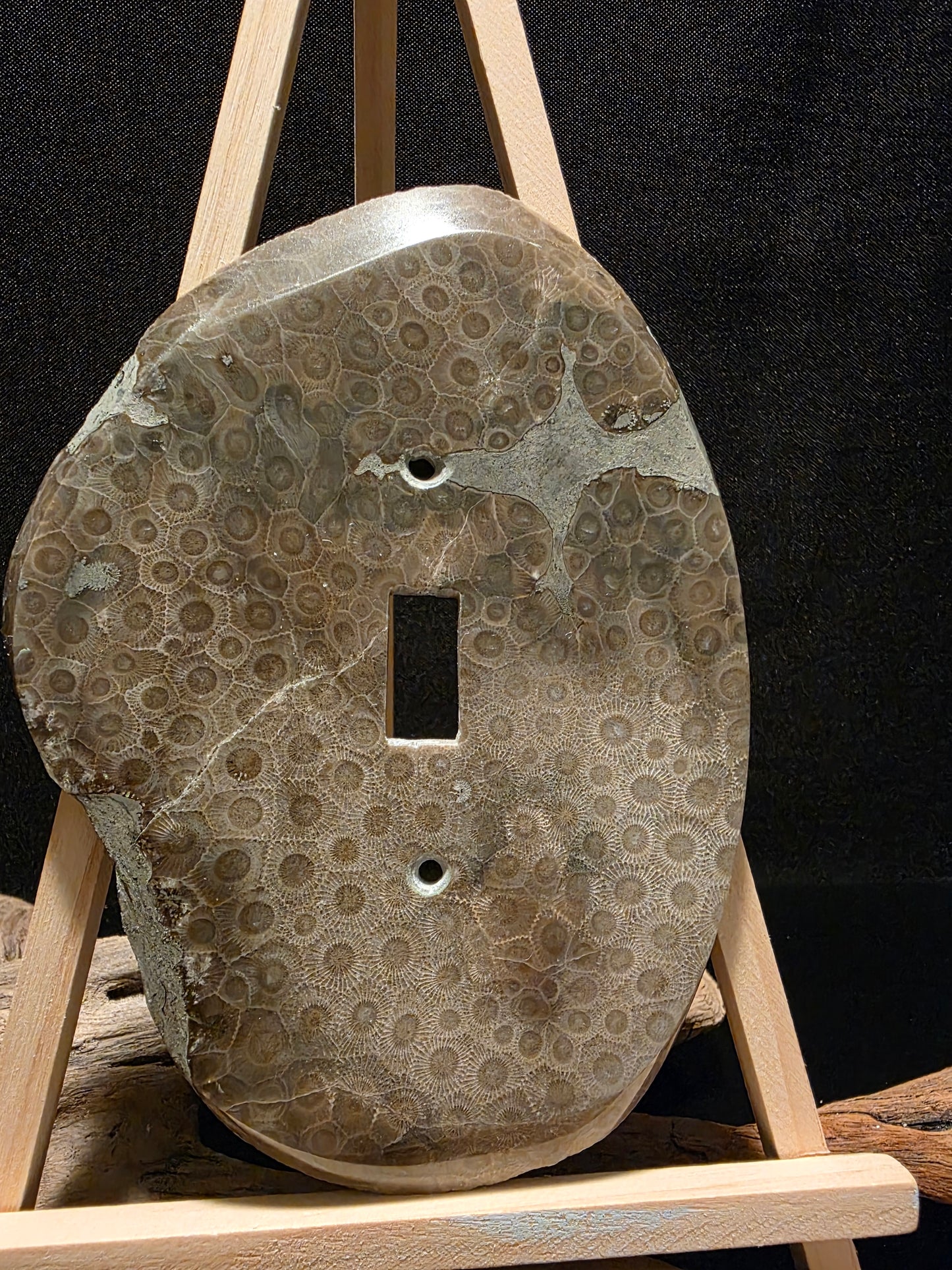 Petoskey Stone Switch Plate Cover #195
