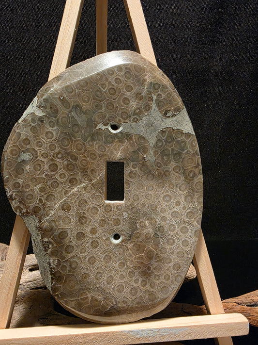 Petoskey Stone Switch Plate Cover #195