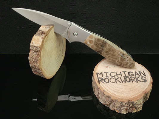 Petoskey Stone Kershaw Leek 1660 Pocket Knife #2