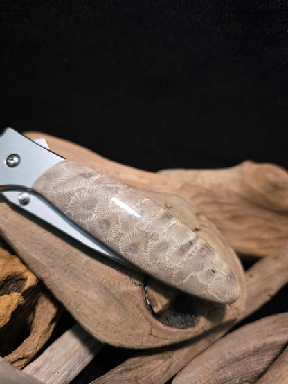 Petoskey Stone Kershaw Leek Folding Pocket Knife (Model 1660) #244
