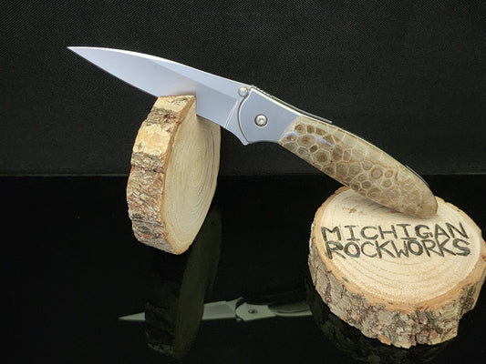 Petoskey Stone Kershaw Leek 1660 Pocket Knife #1