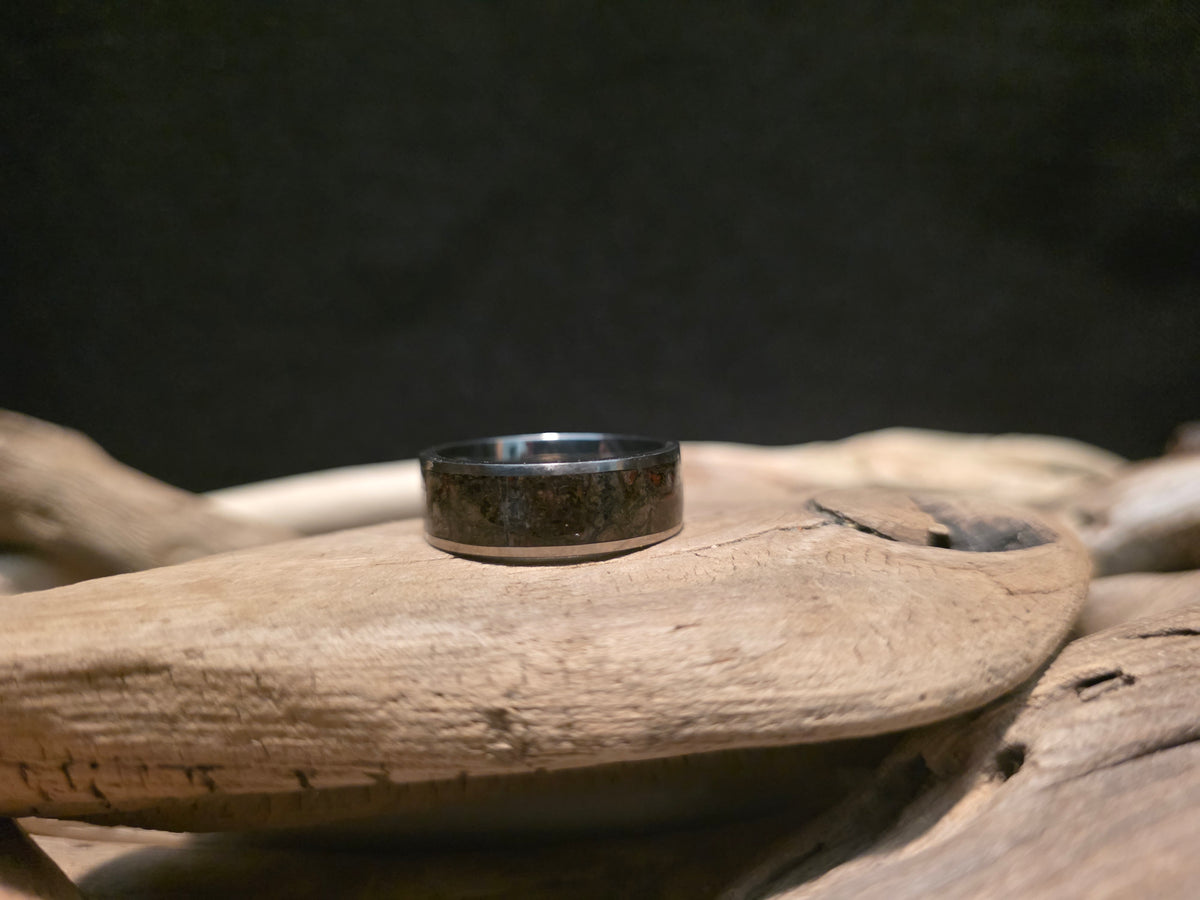 Utah Dinosaur Bone Titanium Channel Inlay Ring (Size 11.5) #241