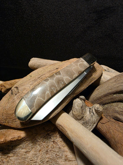Petoskey Stone Kershaw Gadsden 2 Blade Folding Pocket Knife (Model 4381 - RB) #179