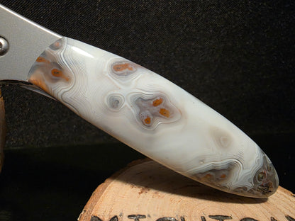 "Topo" Grand Canyon Agate with Parallax Banding Kershaw Random Leek (Model 1660R) Folding Pocket Knife #153