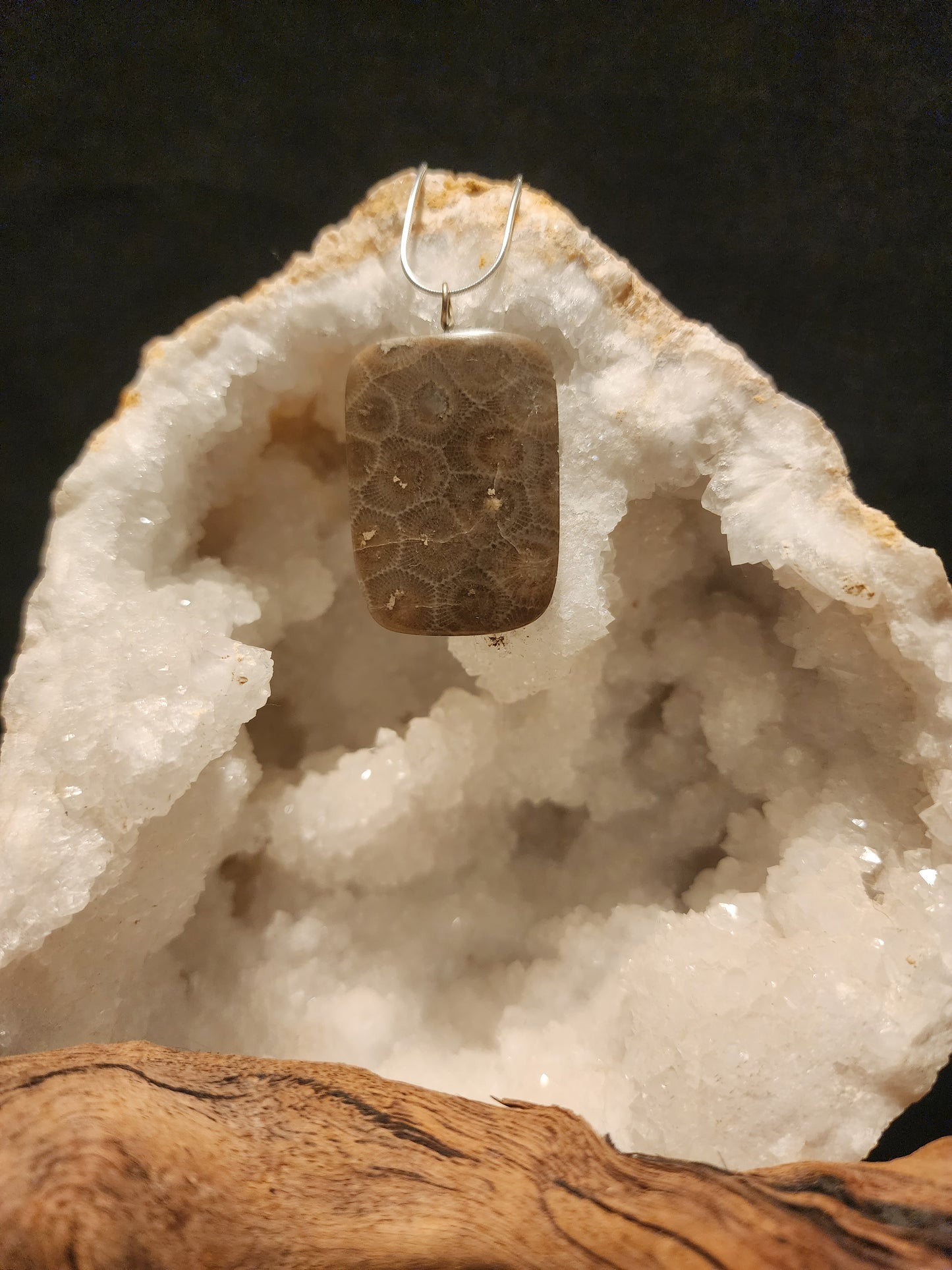 Petoskey Stone Pendant #34