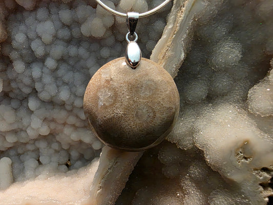 Petoskey Stone Pendant #190