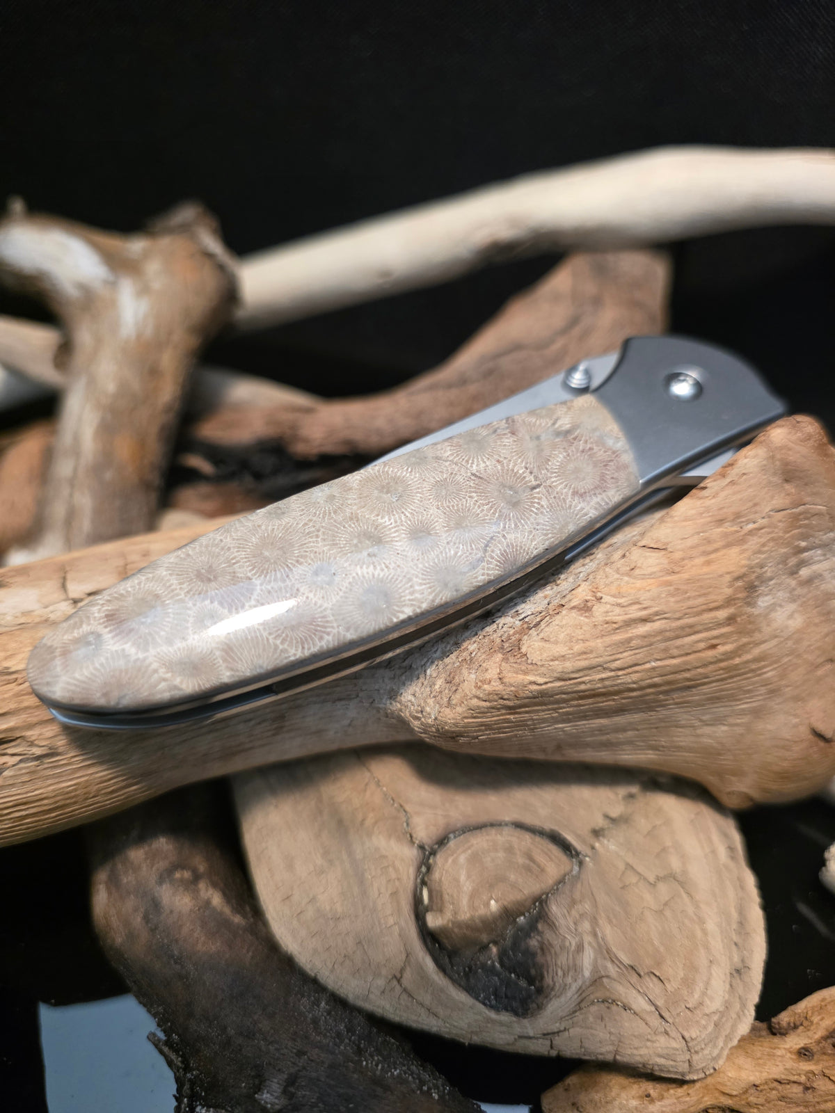 Petoskey Stone Kershaw Leek Folding Pocket Knife(Model 1660) #232