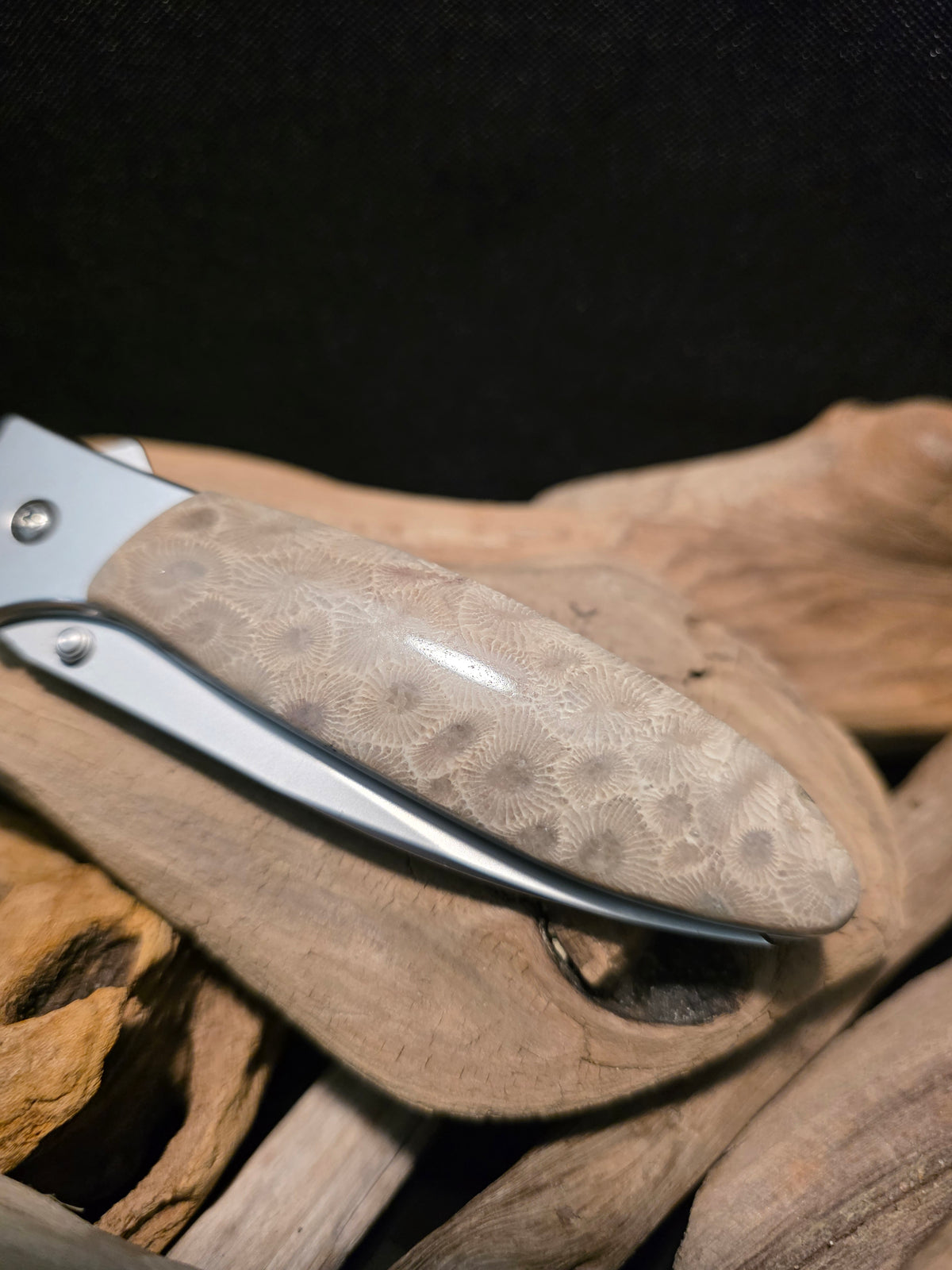 Petoskey Stone Kershaw Leek Folding Pocket Knife (Model 1660) #245