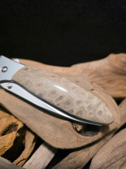 Petoskey Stone Kershaw Leek Folding Pocket Knife (Model 1660) #245