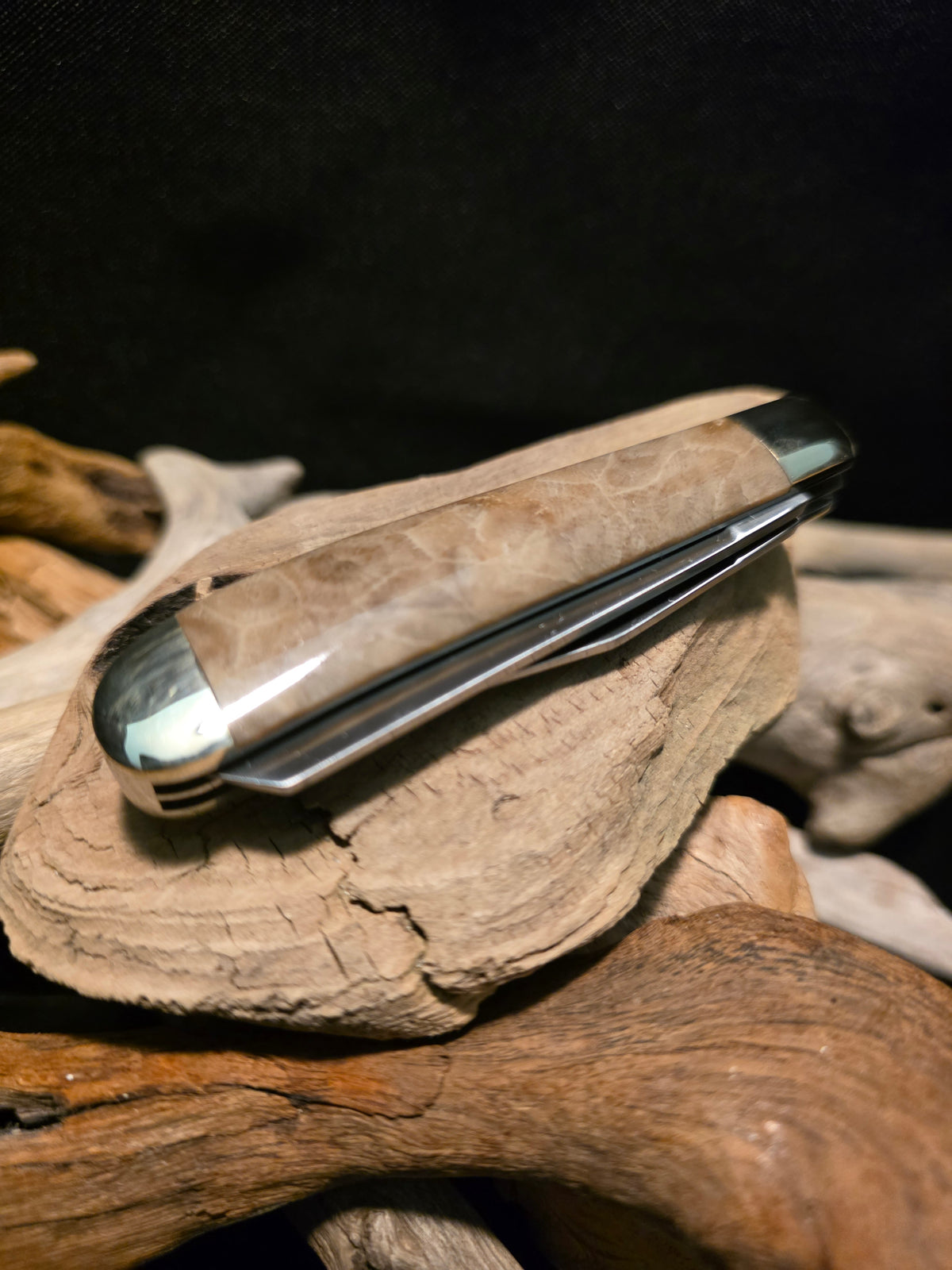 Petoskey Stone Kershaw Gadsden Folding Pocket Knife (Model 4381RB) #250