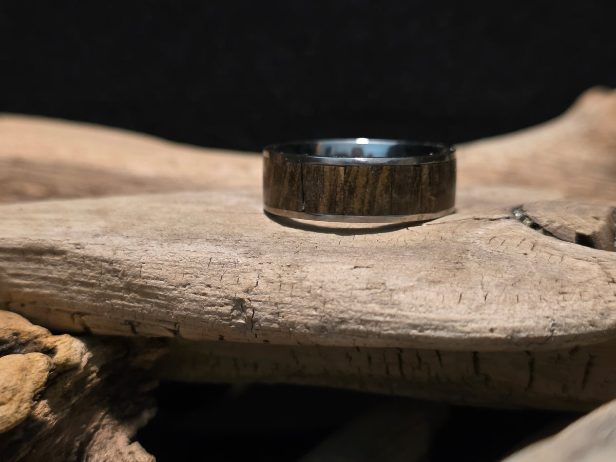 Michigan Petrified Wood Titanium Channel Inlay Ring (Size 11) #246