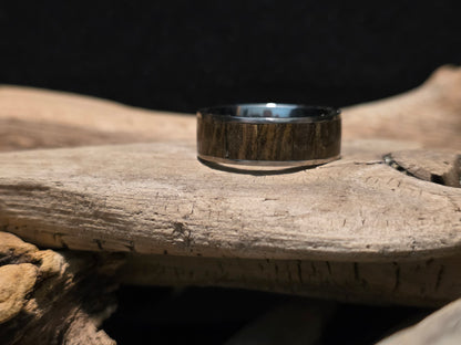 Michigan Petrified Wood Titanium Channel Inlay Ring (Size 11) #246
