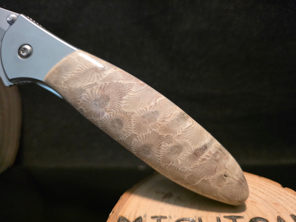 Petoskey Stone Kershaw Leek Folding Pocket Knife (Model 1660) #244