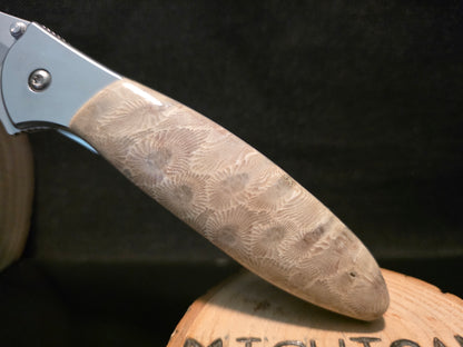Petoskey Stone Kershaw Leek Folding Pocket Knife (Model 1660) #244