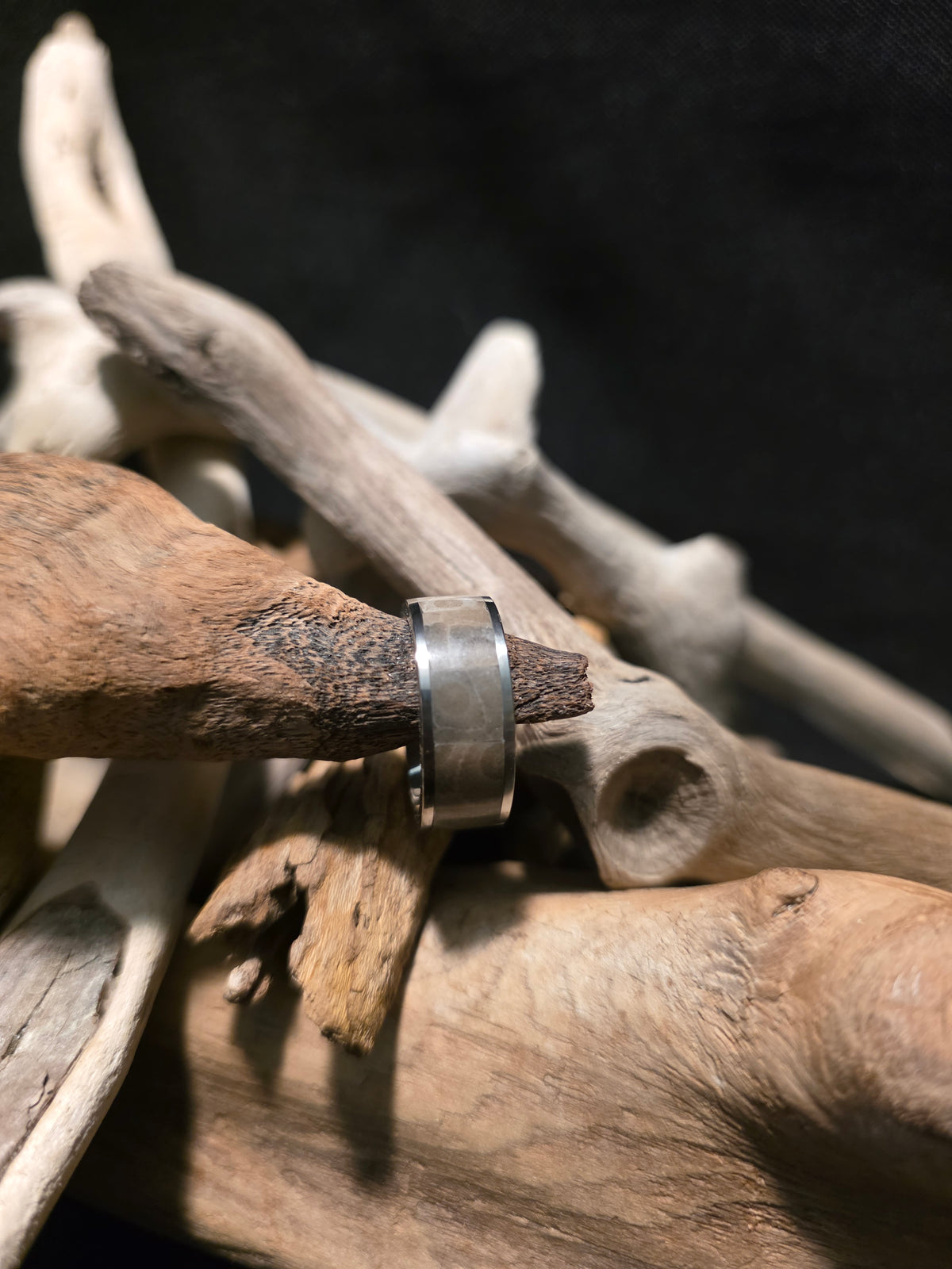 Petoskey Stone Titanium Channel Inlay Ring (Size 7) #253