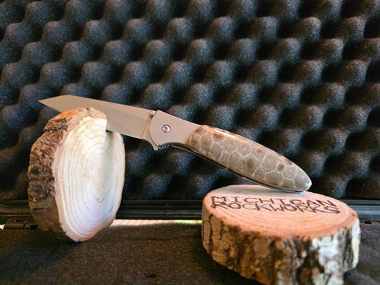 Petoskey Stone Kershaw Leek Folding Pocket Knife (Model 1660R) #221