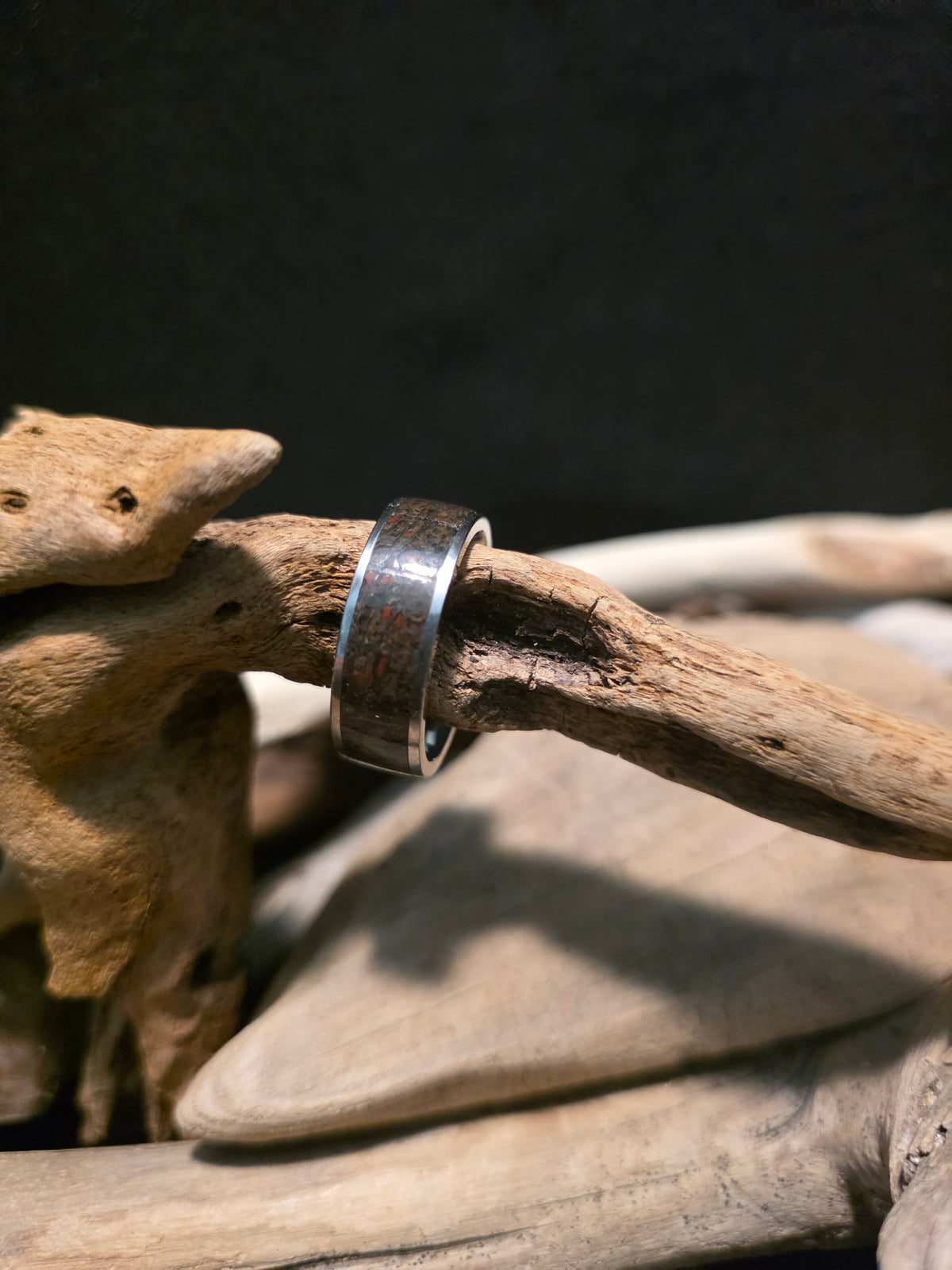 Utah Dinosaur Bone Titanium Channel Inlay Ring (Size 11.5) #241