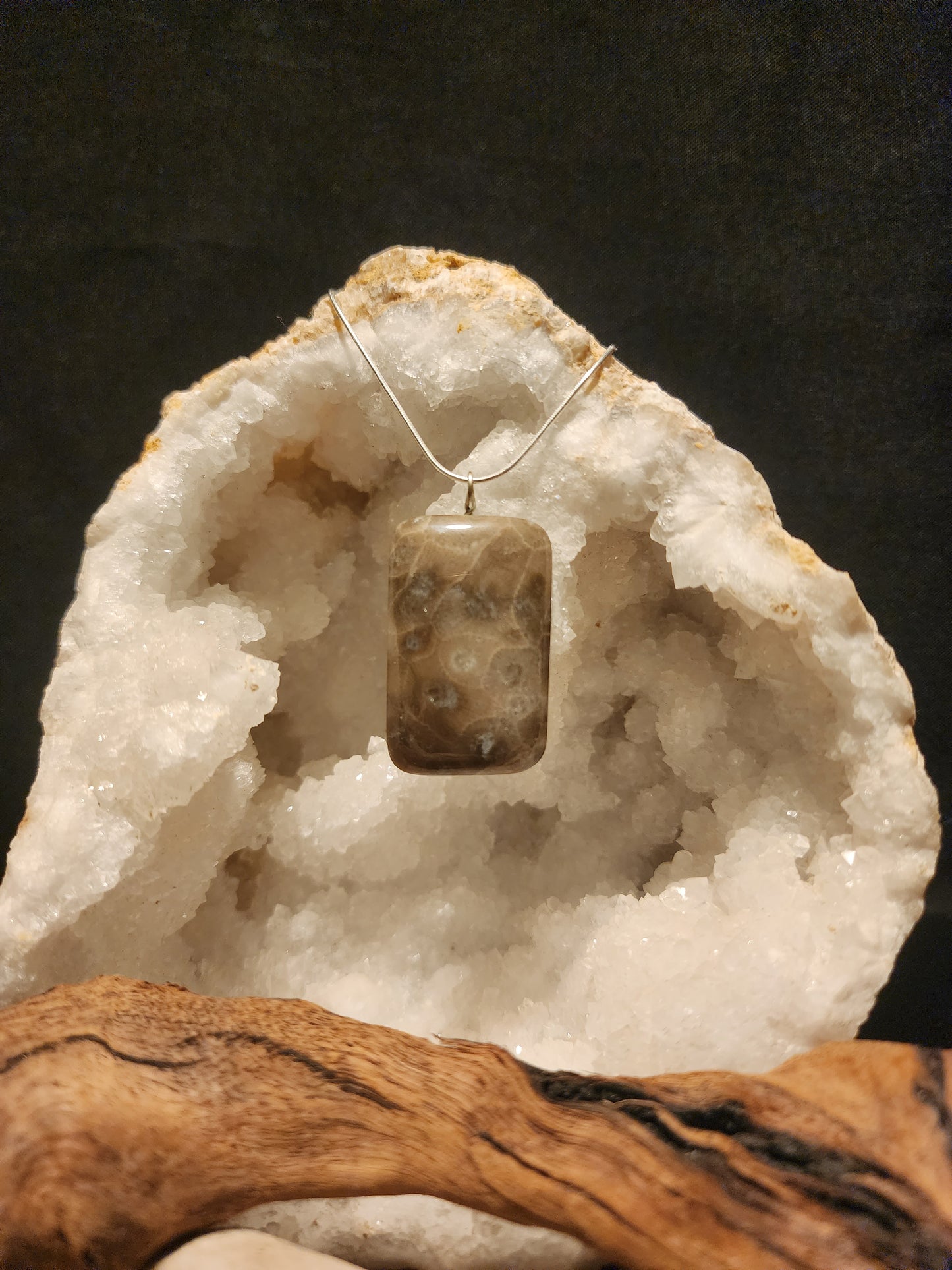 Petoskey Stone Pendant #28