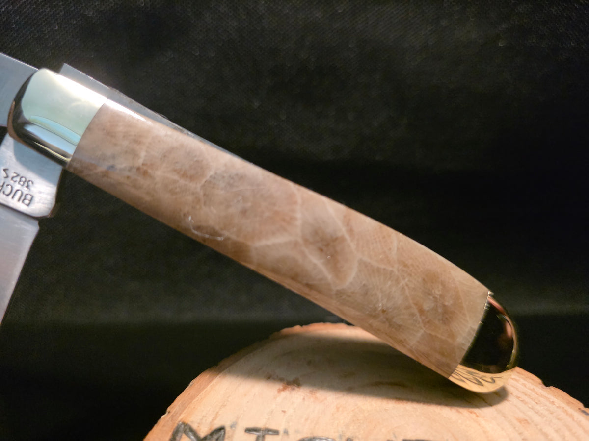 Petoskey Stone Kershaw Gadsden Folding Pocket Knife (Model 4381RB) #250