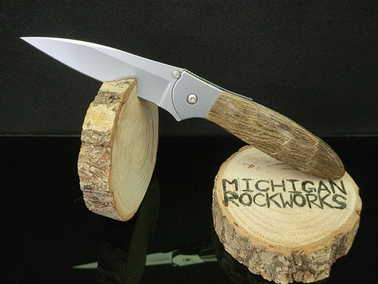 Michigan Petrified Wood Kershaw Leek 1660 Pocket Knife #16