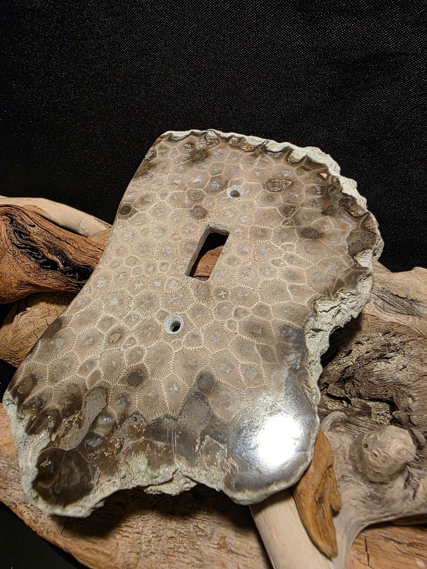 Petoskey Stone Single Switch Plate Cover #181