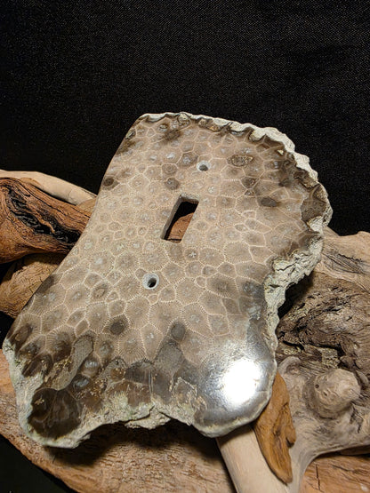 Petoskey Stone Single Switch Plate Cover #181
