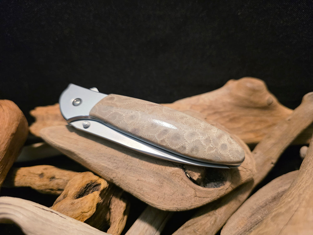 Petoskey Stone Kershaw Leek Folding Pocket Knife (Model 1660) #245